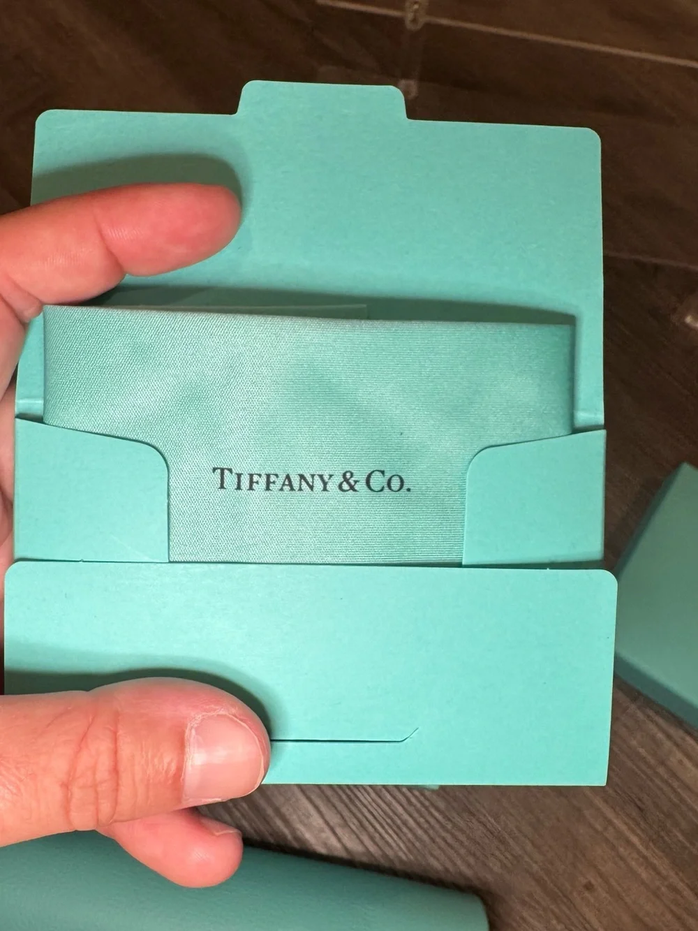 Tiffany & Co. tiffany cat